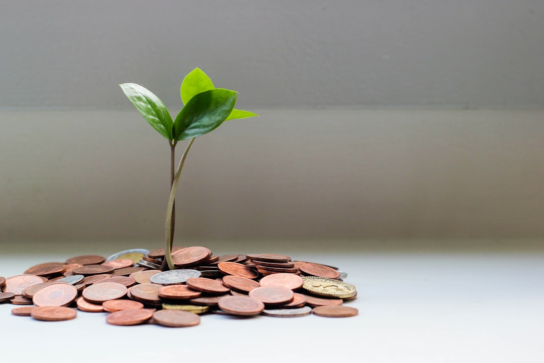 Inversión en criptomonedas